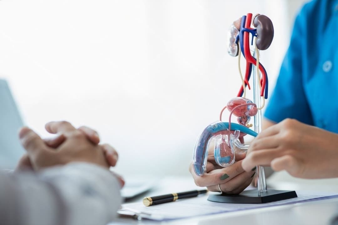 Kidney Cancer Treatment