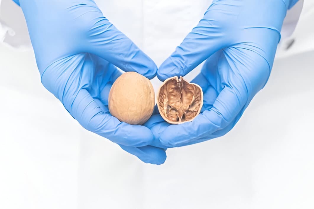Testicular Cancer Treatment